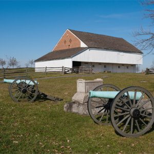 CodoriFarm