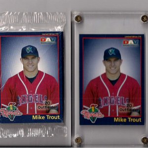 2010 DAV Trout1