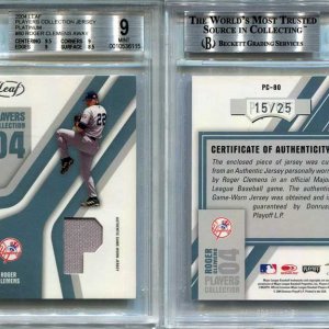 04LeafPC80Platinum
