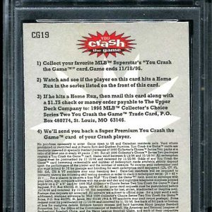 Bags 96 CC CTG back