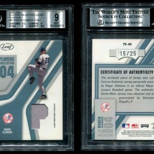 04LeafPC80Platinum.jpg