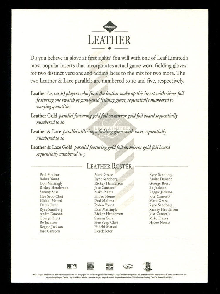 03LLLeatherinfo-bak.jpg