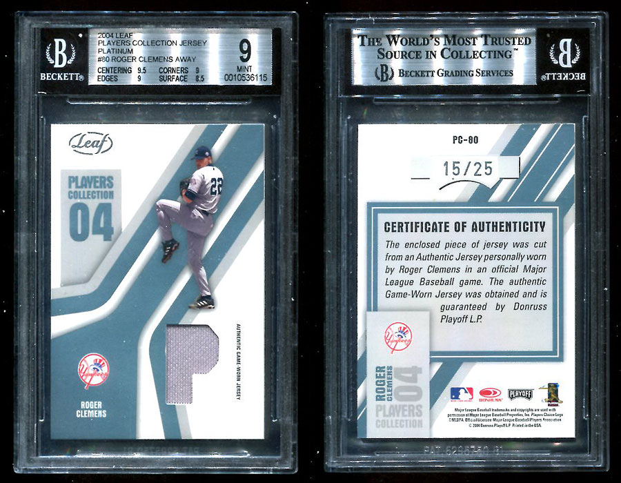 04LeafPC80Platinum.jpg