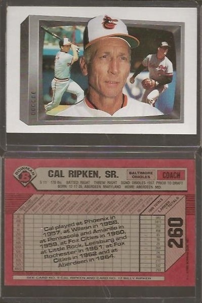 1989 Bowman 260.jpg