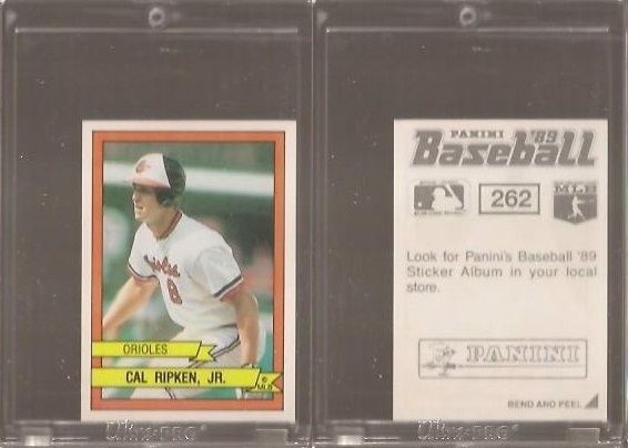 1989 Panini Stickers 262.jpg
