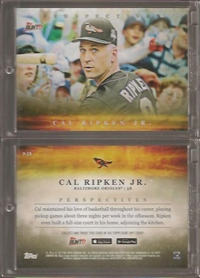 2017 Topps Bunt Perspectives P-CR.jpg