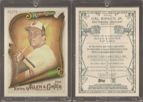 2018 Topps Allen & Ginter Rip Card - Ripped-51.75.jpg