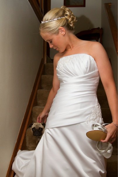 Bailey came to see me as I was coming down the stairs after putting my wedding dress on