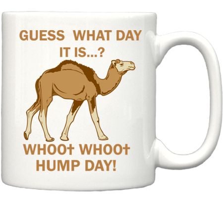 camel2