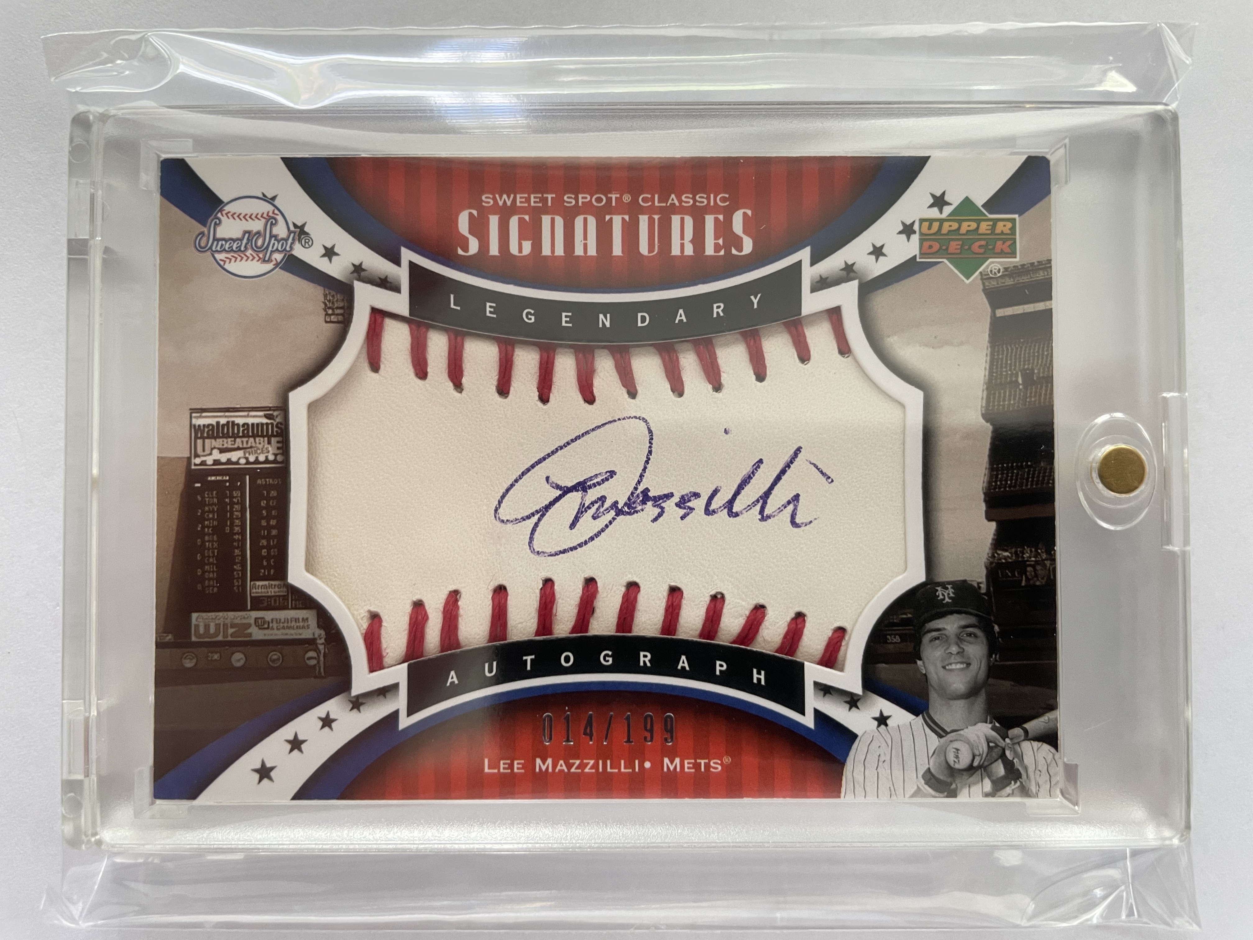 Lee Mazzilli