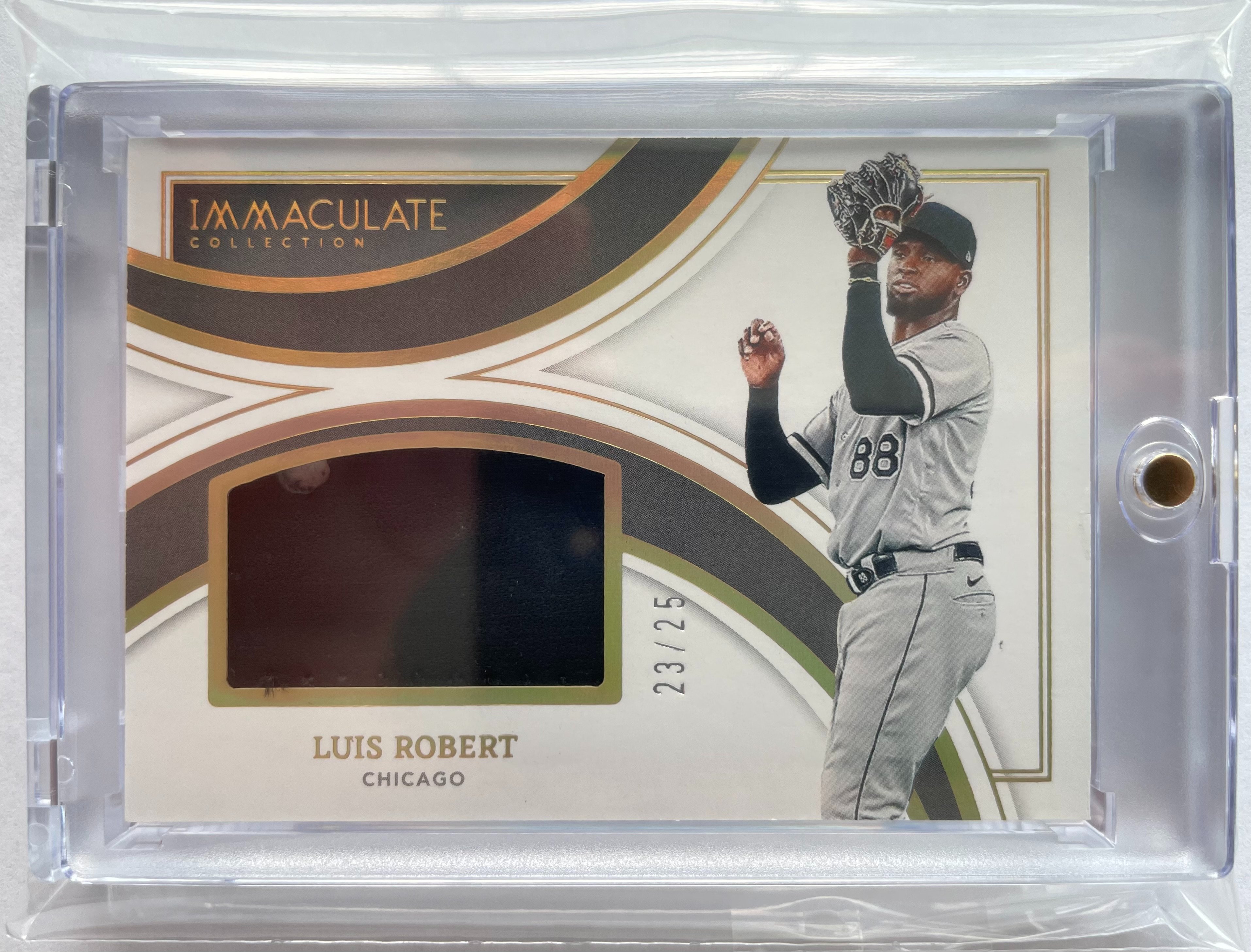 Luis Robert