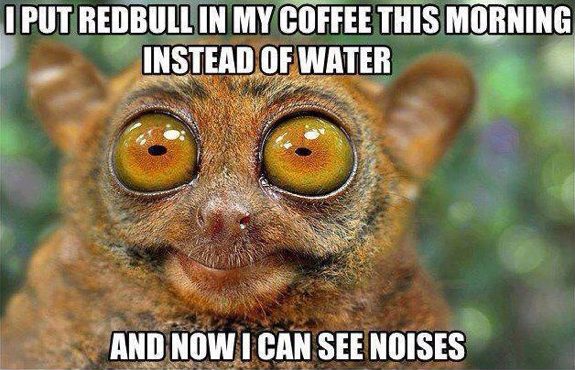 monday coffee noises