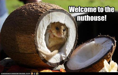 welcome