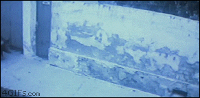 T3ZxQMs.gif