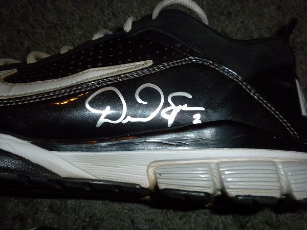 Game-UsedShoesAutoPic4.jpg