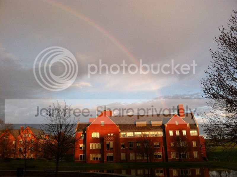 image_31.jpg
