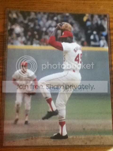Gibby11x14.jpg