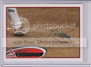 squirrel_zpsb437efe6.jpg