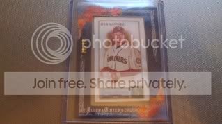IMAG0142.jpg
