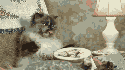 tumblr_me3rccaN2F1ro2d43.gif