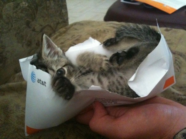 tumblr_m2h83rCAF21rsy4elo1_1280.jpg