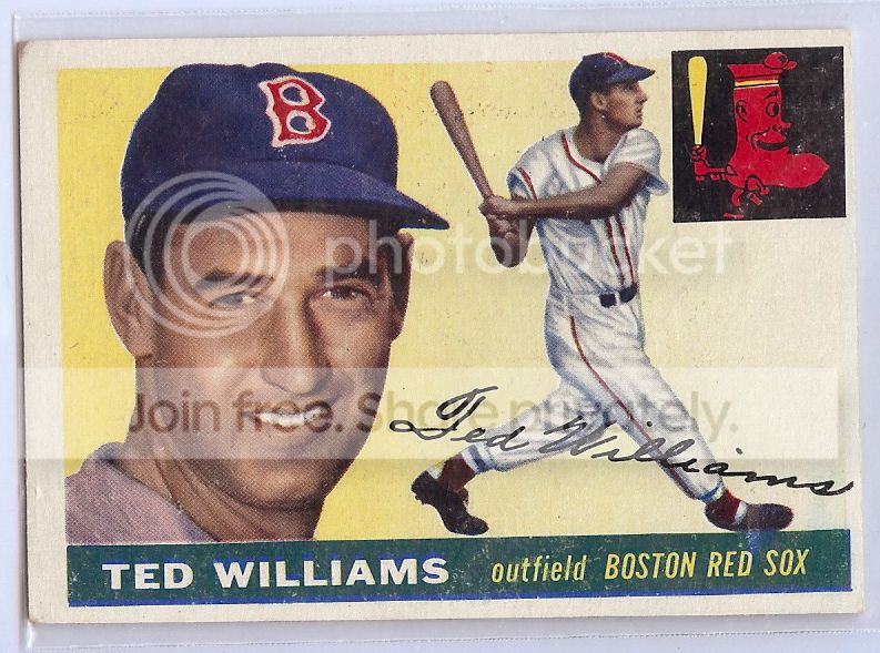 williams.jpg