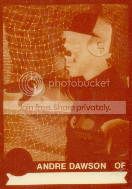 scan0046_1.jpg