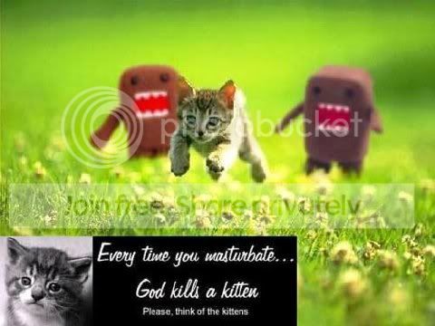 GodKillsAKitten.jpg