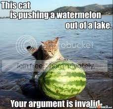 cat2.jpg