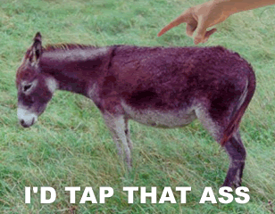 id-tap-that-ass.gif