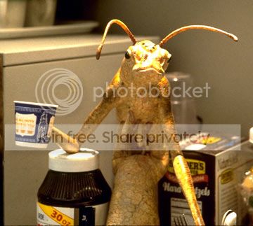 bugcup.jpg