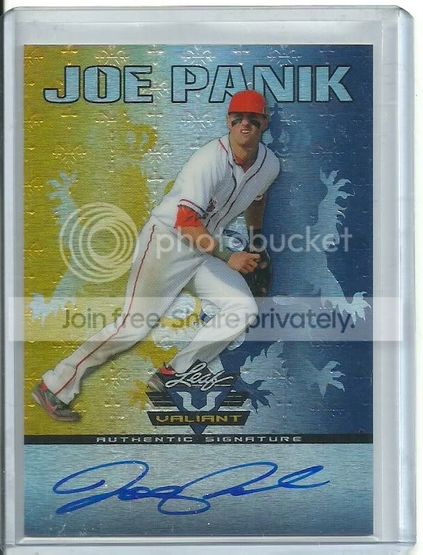 panikauto99.jpg
