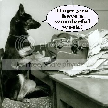 busydog.jpg