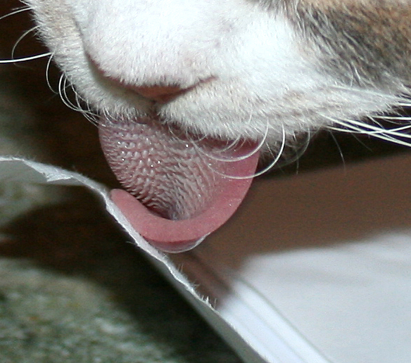 Envelope2.jpg