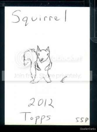 squirrel.jpg