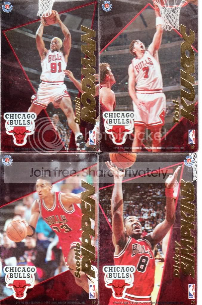 bulls.jpg