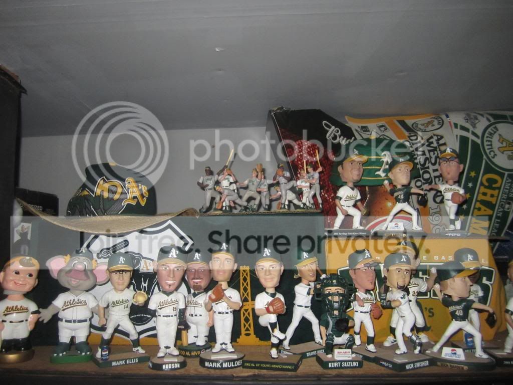 IMG_8788_zps4e2f9e37.jpg
