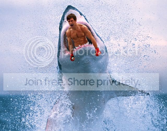 shark-1.jpg