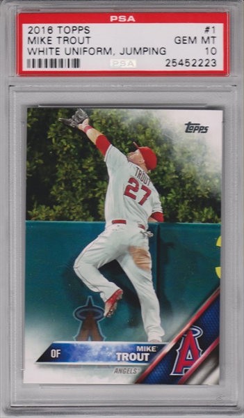 mtrout16tpsa10%20001.jpg