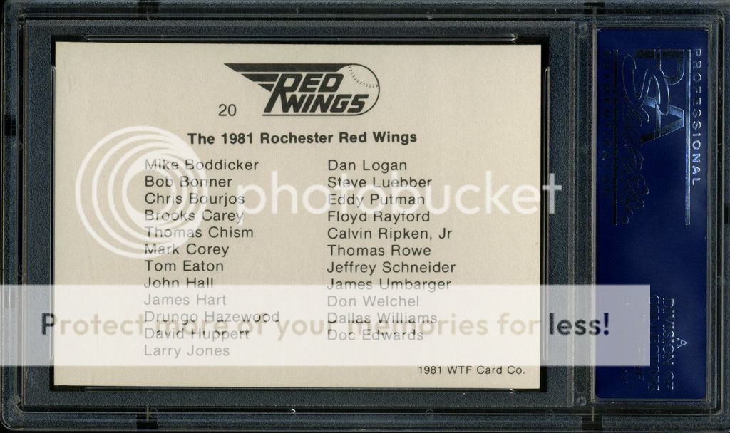 81WTFRochesterRedWingsTeam20_back.jpg