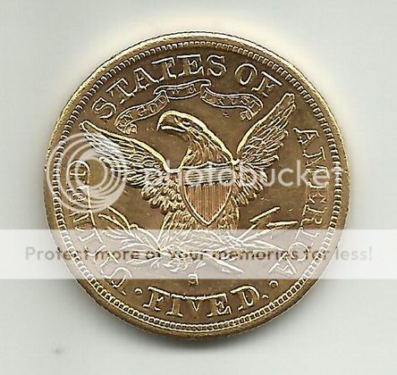 gold-coin2_zps9d820f1a.jpg